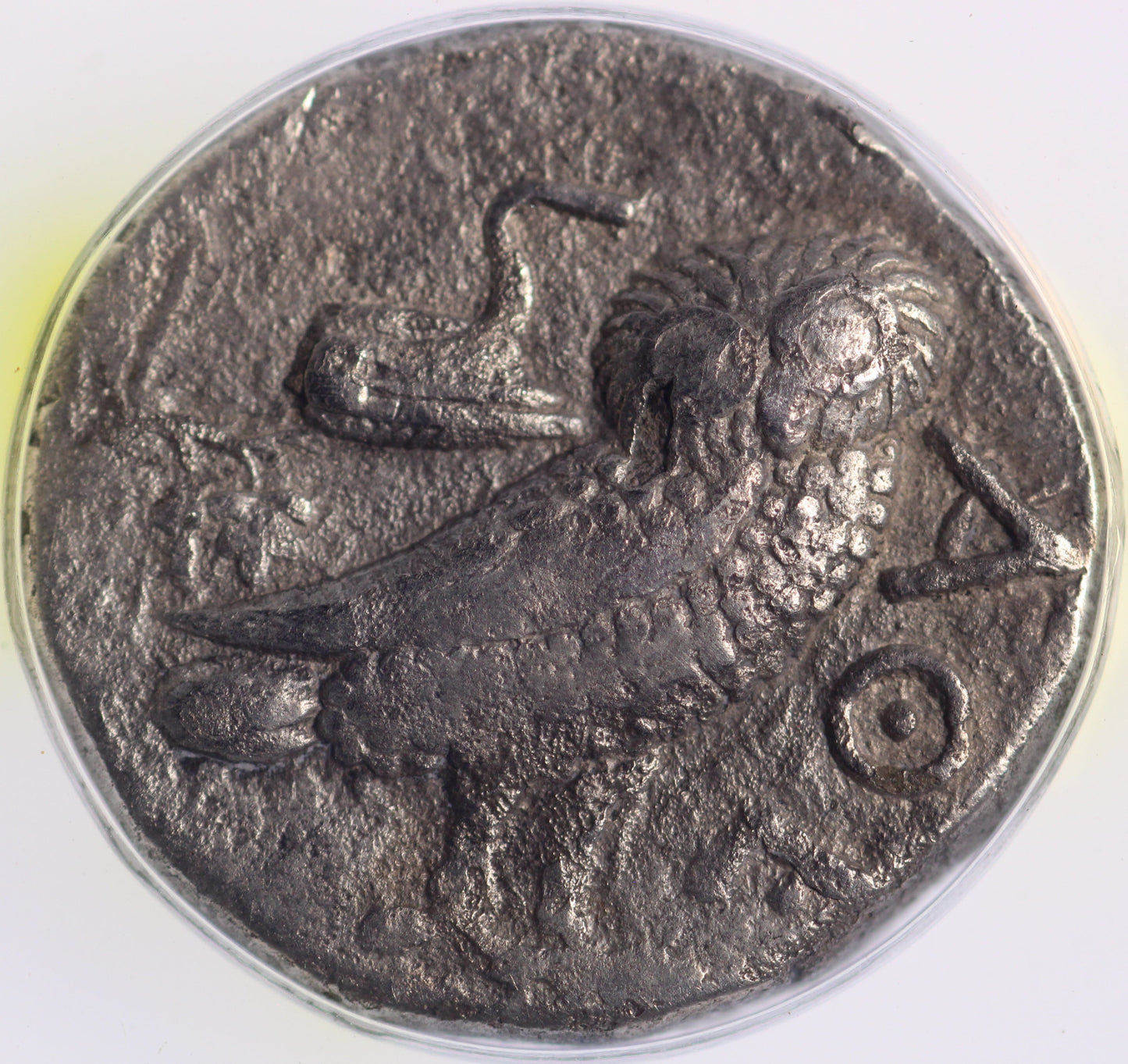 c.295-283 BC Greek - Athena - Owl