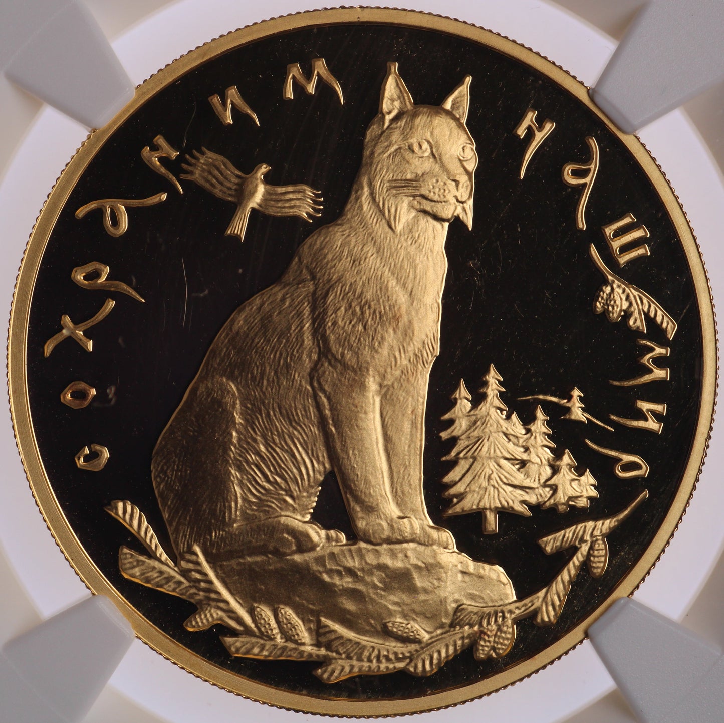 1995 Russia 200 Ruble - Lynx - Protect Our World - Gold Oz